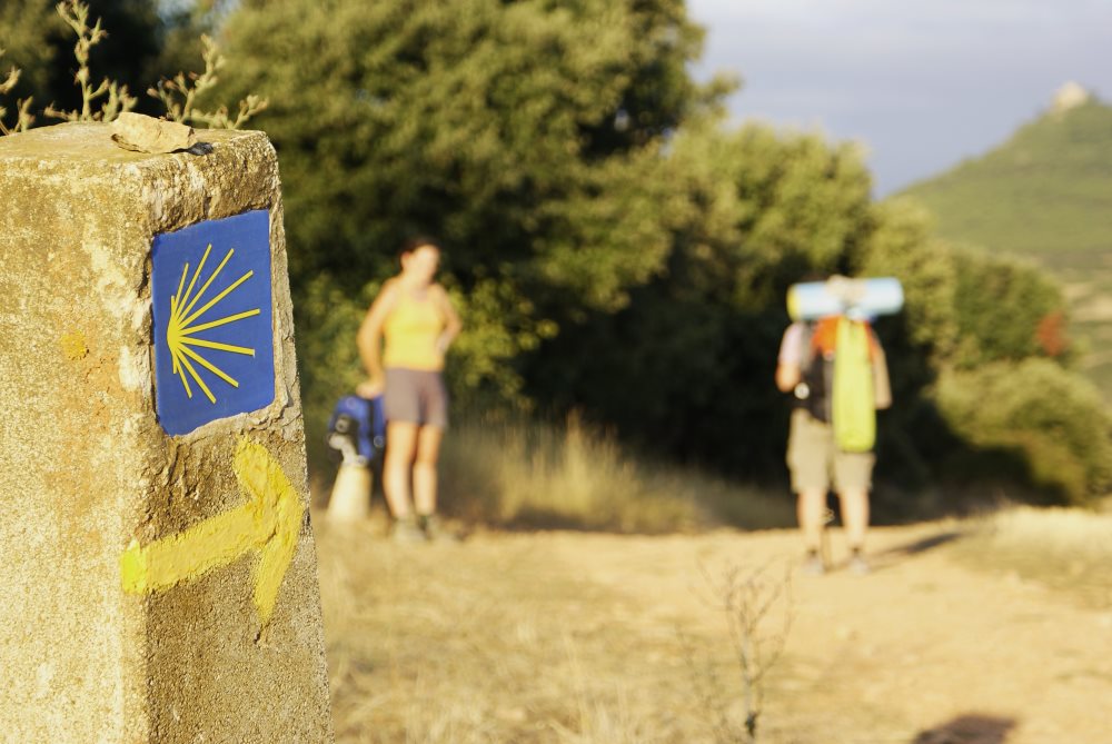 Verso Santiago di Compostela - FormazioneTurismo.com