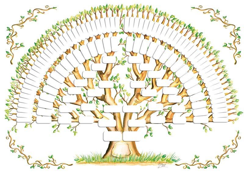 Dall'albero genealogico al turismo genealogico 