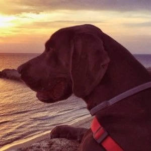 Foto del profilo di Tatjana