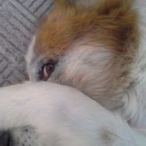 Foto del profilo di Carlo