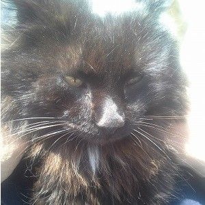 Foto del profilo di Antonio