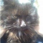 Foto del profilo di Antonio