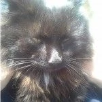 Foto del profilo di Antonio