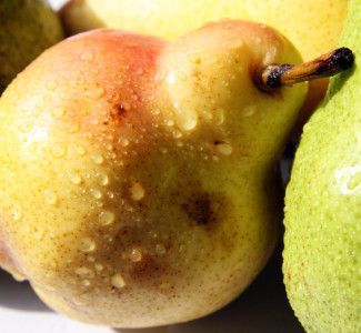 Foto I rischi di un brand debole