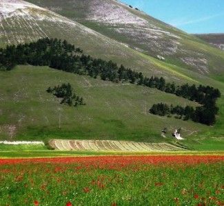 Foto Ecomusei: mettere in mostra l’arte di valorizzare un territorio