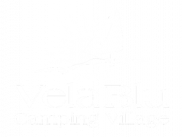 logo-VB-v4-1