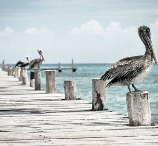Foto Il senso del pescaturismo. Anzi! cinque