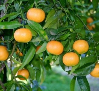 Foto La ristorazione incontra l’ambiente il 10 ottobre a Bologna