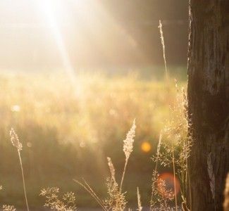Foto Ecco come la lentezza sposa il turismo